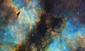IC 1318 LE PAPILLON